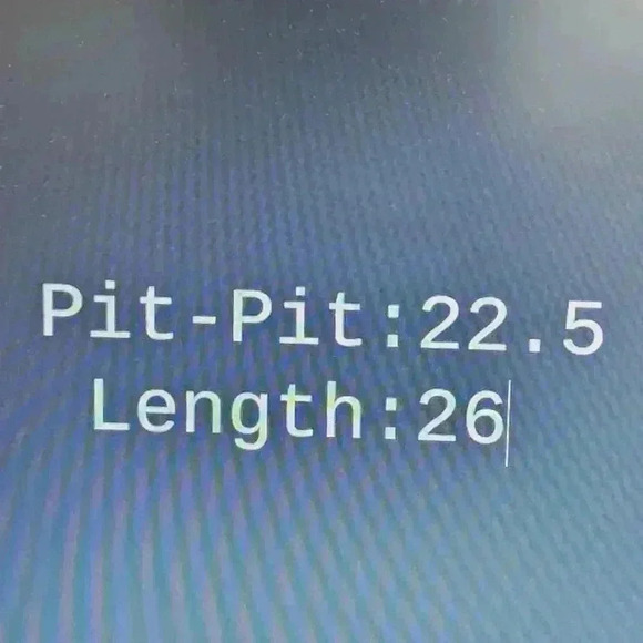 Eddie Bauer Women's Tall L Chambray Hooded Jacket Zip-Up Vintage Style - Picture 3 of 8